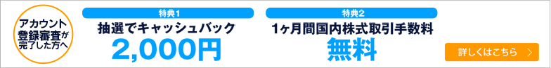 特典1 抽選で2,000キャッシュバック。特典2 1ヶ月間国内株式取引手数料無料